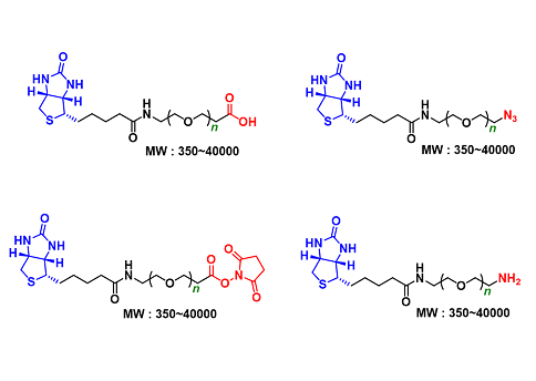 Biotin-PEG (MW: 350~40000)